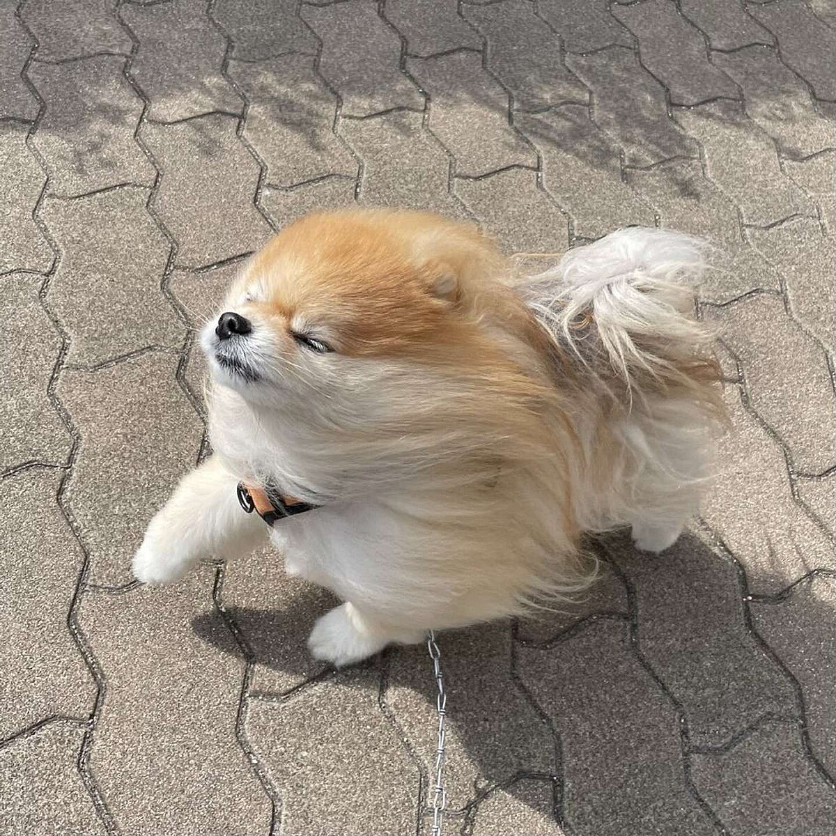 Sojiro Media Coverage